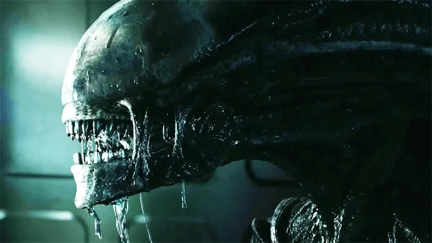 Xenomorfo romulus