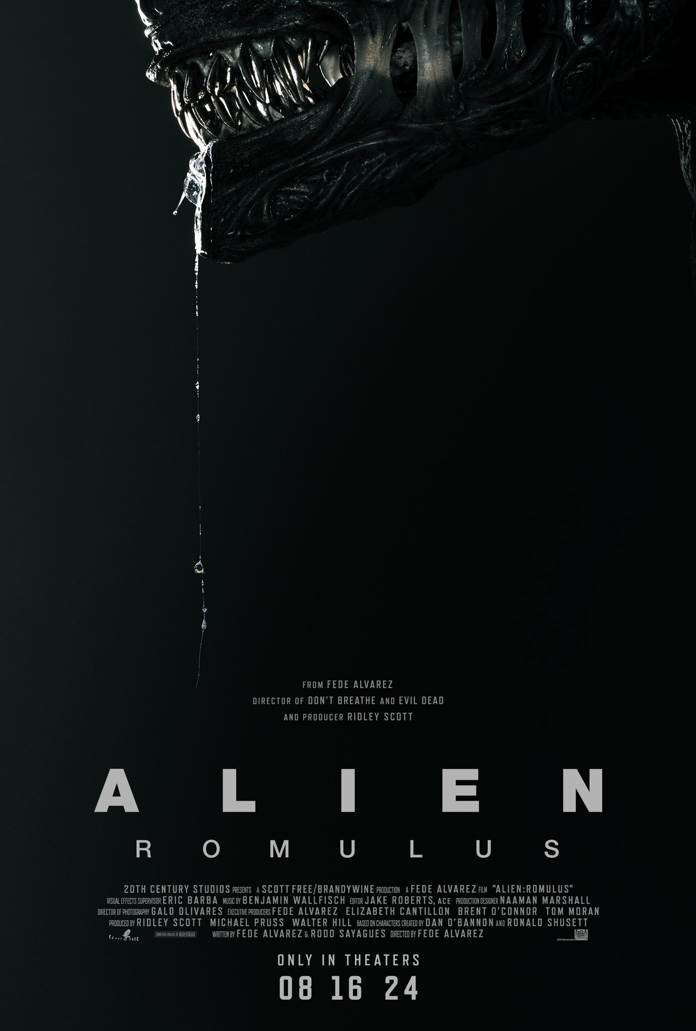 Póster oficial de la película 'ALIEN ROMULUS', mostrando la cabeza de un xenomorfo con saliva goteando de sus mandíbulas, sobre un fondo oscuro. El título de la película aparece en grandes letras blancas separadas verticalmente, con información sobre el director Fede Alvarez, el productor Ridley Scott, y la fecha de estreno en cines el 16 de agosto de 2024 en la parte inferior.